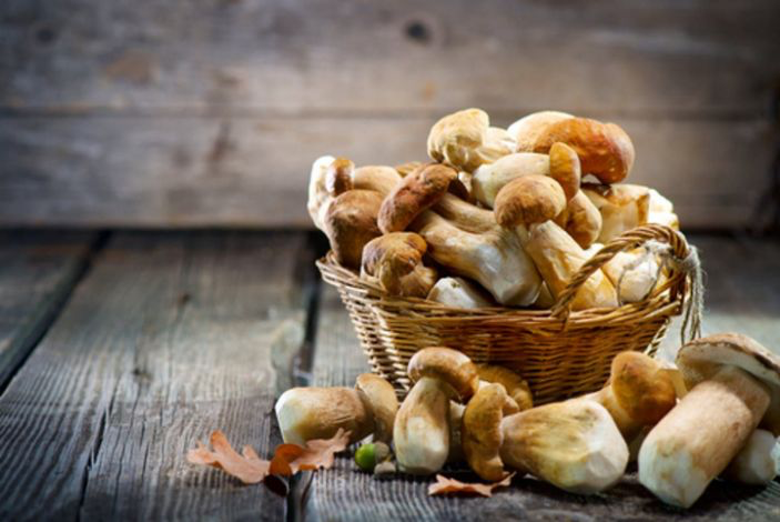 How the Lowly Mushroom is Becoming a Nutritional Star