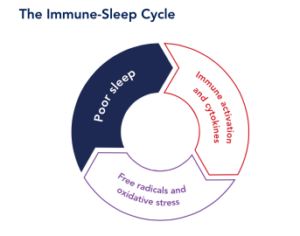Do You Know that One Poor Night of Sleep Can Cause Changes in Your Metabolic Function?