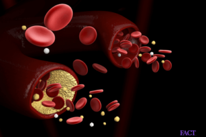 LotusRain Clinic - Naturopathic Medicine, and IV Therapy